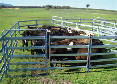 Çin Keçiler için 40x80 MM Ağır Sığır Panelleri, Oval Tüp Sığır Panelleri Tedarikçi